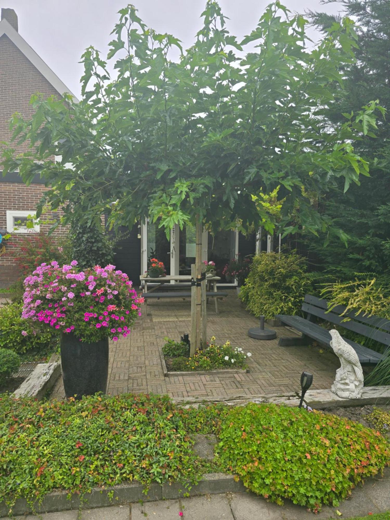 Welkom *